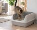 Arena de bentonita aglomerante para gatos en el arenero